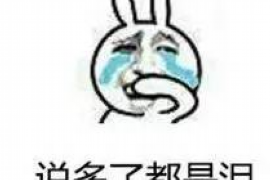 宕昌宕昌专业催债公司的催债流程和方法