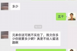 宕昌专业催债公司的市场需求和前景分析